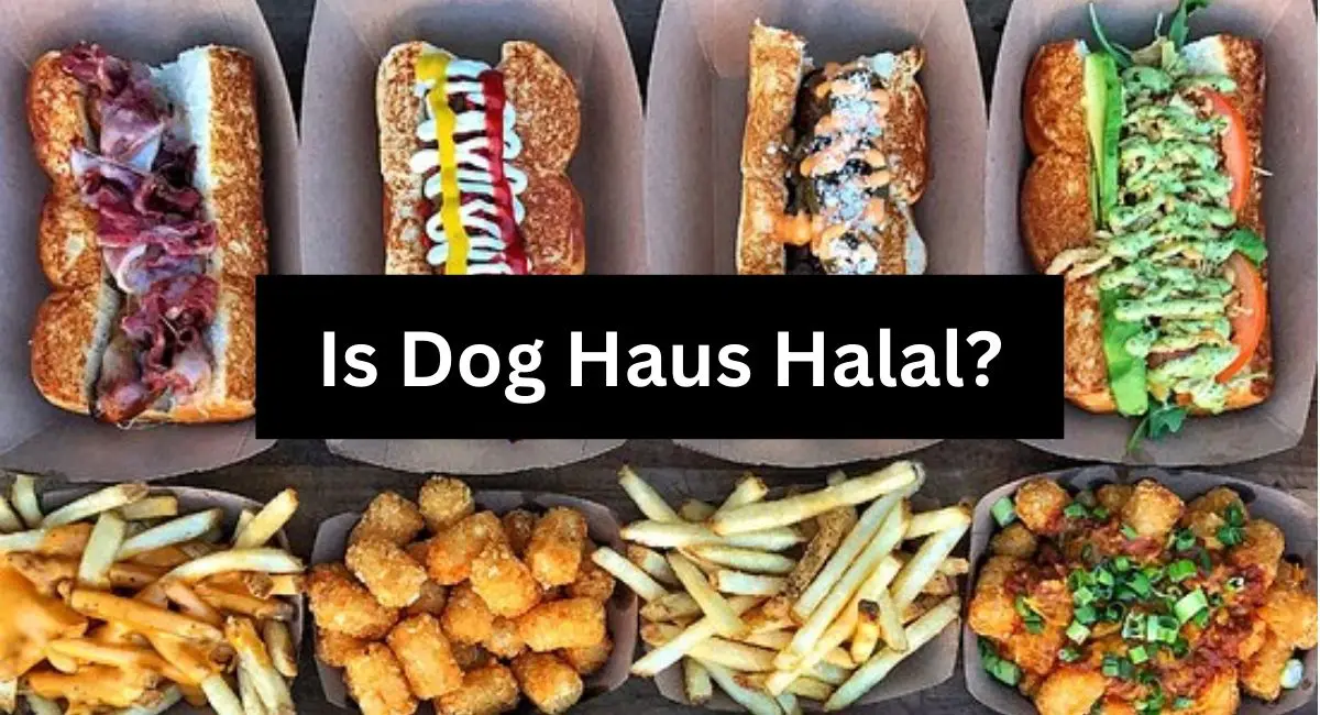 Is Dog Haus Halal? Is Dog Haus Halal