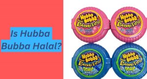 Is Hubba Bubba Halal