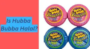 Is Hubba Bubba Halal? Is Hubba Bubba Halal