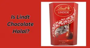 Is Lindt Chocolate Halal? Is Lindt Chocolate Halal