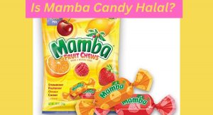 Is Mamba Candy Halal? Is Mamba Candy Halal