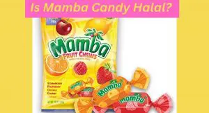 Is Mamba Candy Halal? Is Mamba Candy Halal
