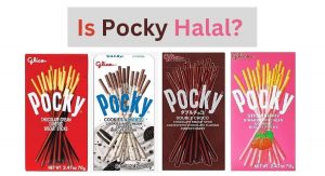 Is Pocky Halal? Is Pocky Halal