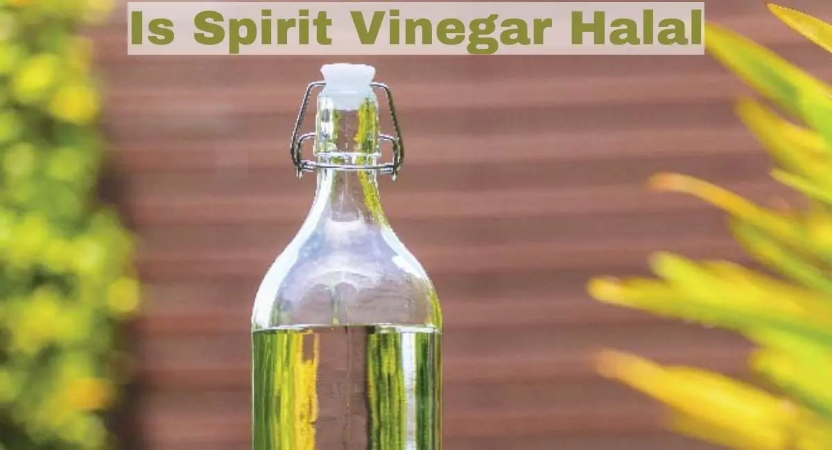 Is Spirit Vinegar Halal Or Haram? Is Spirit Vinegar Halal