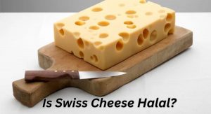 Is Swiss Cheese Halal? Is Swiss Cheese Halal