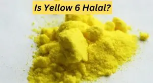 Is Yellow 6 Halal? Is Yellow 6 Halal