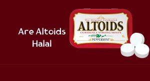 Are Altoids Halal? Are Altoids Halal