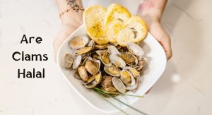 Are Clams Halal? Are Clams Halal