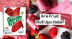 Are Fruit Roll Ups Halal? Are Fruit Roll Ups Halal