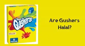 Are Gushers Halal? Are Gushers Halal