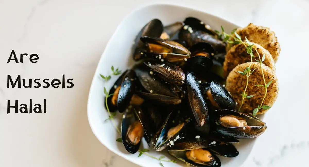 Are Mussels Halal Are Mussels Halal