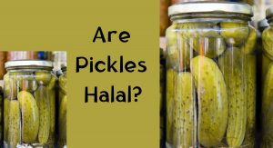 Are Pickles Halal: A Complete Guide Are Pickles Halal