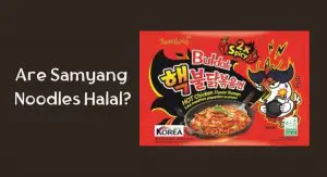 Are Samyang Noodles Halal? Are Samyang Noodles Halal