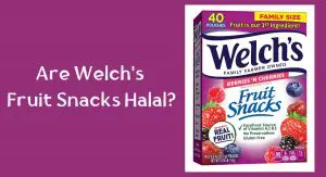 Are Welch's Fruit Snacks Halal