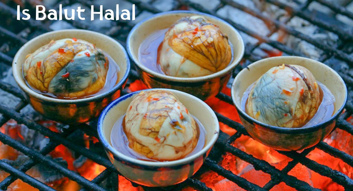 Is Balut Halal? Is Balut Halal