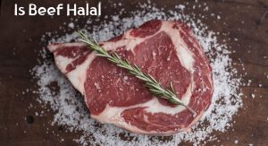 Is Beef Halal? Is Beef Halal