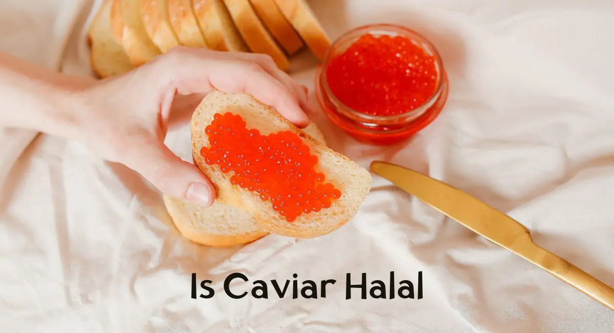 Is Caviar Halal