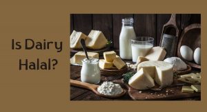 Is Dairy Halal? Is Dairy Halal