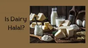 Is Dairy Halal? Is Dairy Halal