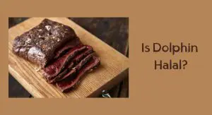 Is Dolphin Halal