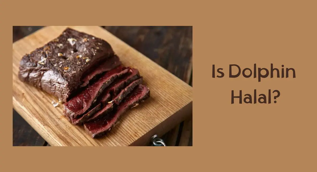 Is Dolphin Halal