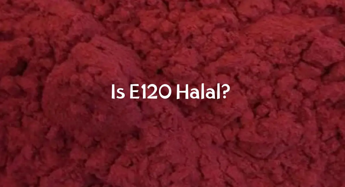 Is E120 Halal? Is E120 Halal