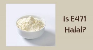 Is E471 Halal
