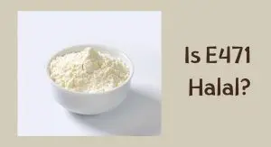 Is E471 Halal