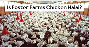 Is Foster Farms Chicken Halal? Is Foster Farms Chicken Halal
