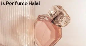 Is Perfume Halal Is Perfume Halal