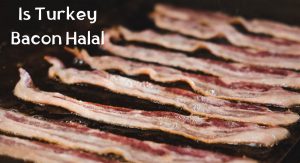 Is Turkey Bacon Halal? Is Turkey Bacon Halal