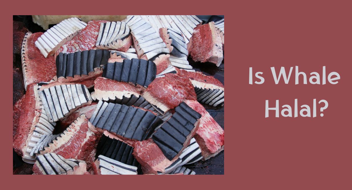 Is Whale Halal