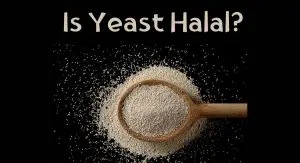 Is Yeast Halal Or Haram? Is Yeast Halal