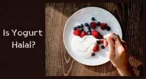 Is Yogurt Halal
