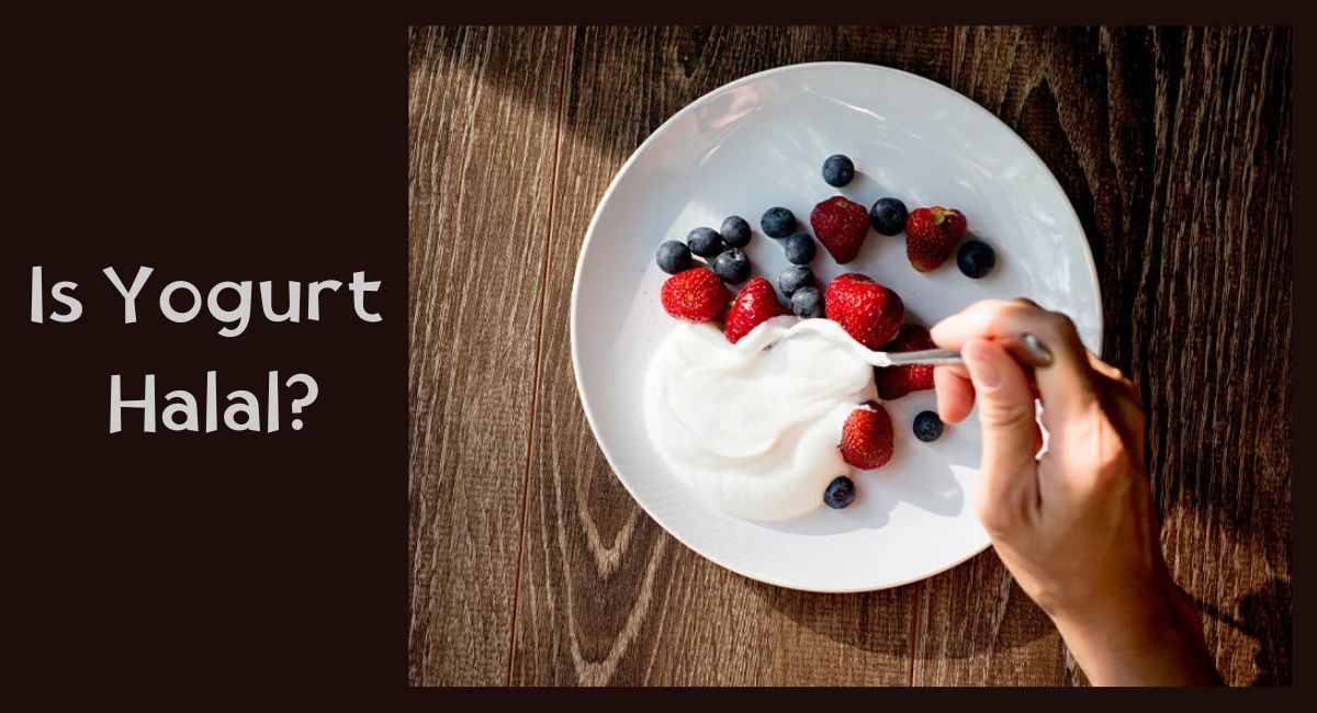 Is Yogurt Halal