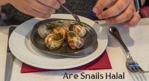 Are Snails Halal Are Snails Halal