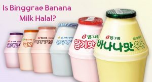 Is Binggrae Banana Milk Halal Is Binggrae Banana Milk Halal