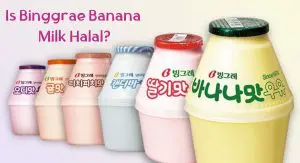 Is Binggrae Banana Milk Halal Is Binggrae Banana Milk Halal