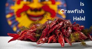 Is Crawfish Halal Is Crawfish Halal