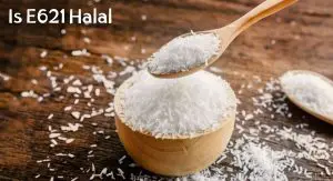Is E621 Halal