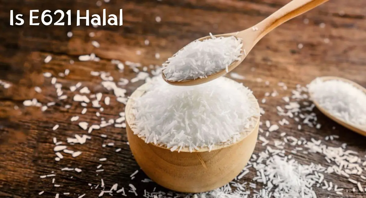 Is E621 Halal