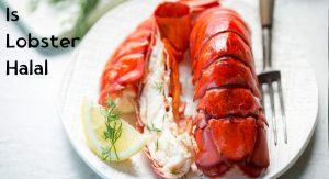 Is Lobster Halal Is Lobster Halal