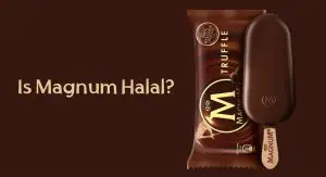 Is Magnum Halal Is Magnum Halal