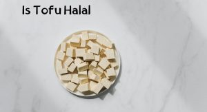 Is Tofu Halal Is Tofu Halal