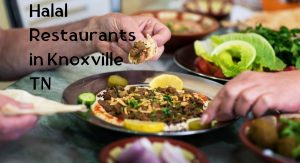 Halal Food in Knoxville TN Halal Restaurants in Knoxville TN