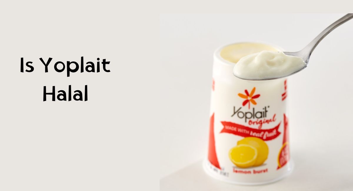 Is Yoplait Halal Is Yoplait Halal