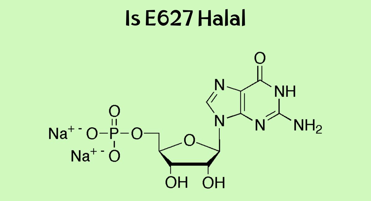 Is E627 Halal Is E627 Halal