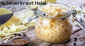 Is Sauerkraut Halal Is Sauerkraut Halal