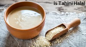Is Tahini Halal Is Tahini Halal