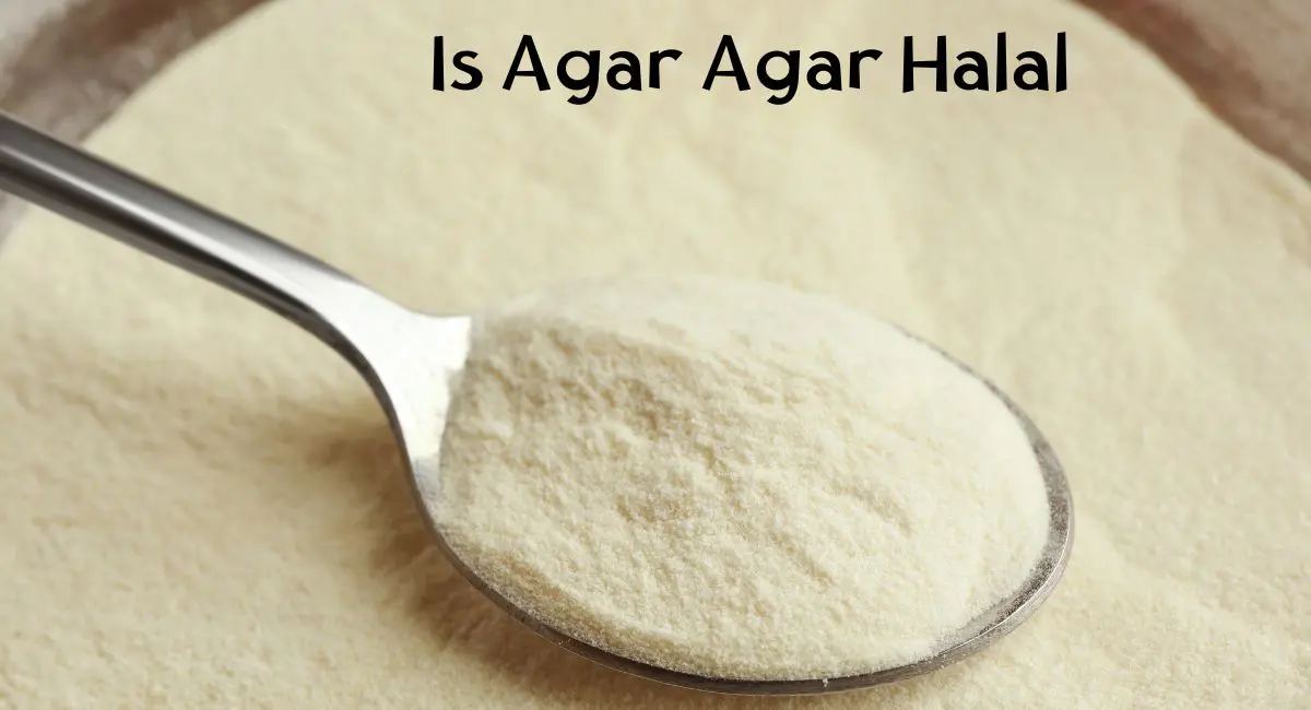 Is Agar Agar Halal